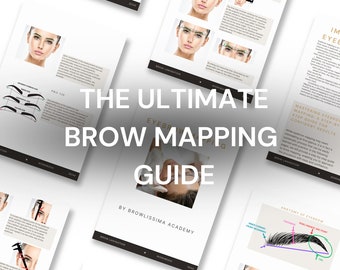 BROW Mapping-Handbuch