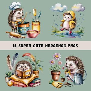 Hedgehog PNGs Clipart Bundle, 15 Watercolor Hedgehog Images, Animal Sublimation, Woodland Animal, Space, Yoga, Beach, Cute, Transparent PNGs