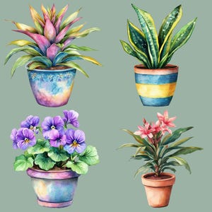 Houseplants Clipart PNGs, 12 Watercolor Plants, Potted Plants, Cottagecore Clip Art, House Plant Illustrations, Wall Art, Transparent