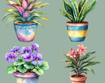 Imágenes prediseñadas de plantas de interior (PNG), 12 plantas de acuarela, plantas en maceta, imágenes prediseñadas de estilo cottagecore, ilustraciones de plantas de interior, arte mural, transparente