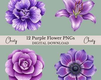 Purple Flowers Clipart Bundle, 12 Watercolor Floral Illustrations, Botanical Designs, Purple Lover, Journal Graphics, Transparent PNGs