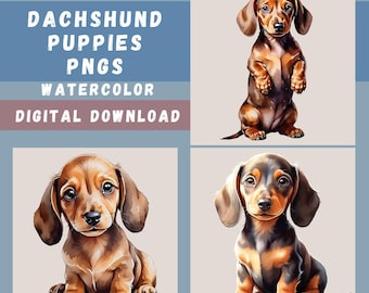 Dachshund Puppies Clipart Bundle, 15 Adorable Watercolor Wiener Dogs, Dog Lover Designs, Sausage Dog Images, POD Graphics, Transparent PNGs