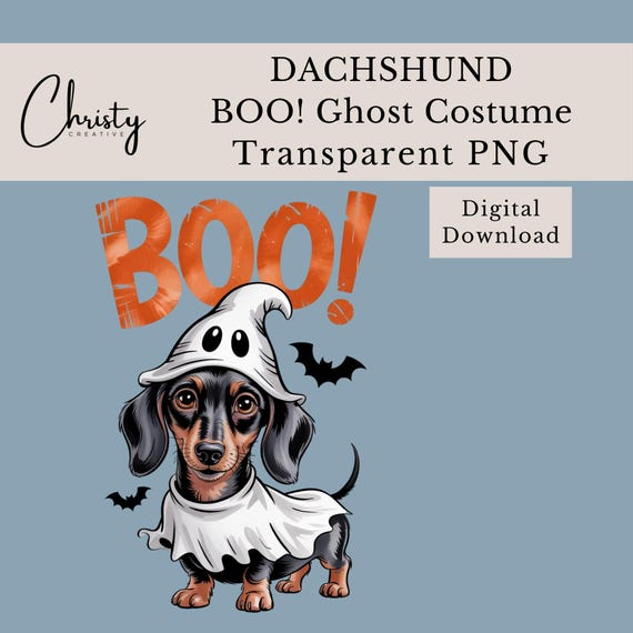 Bassotto di Halloween in formato PNG, bassotto in costume da