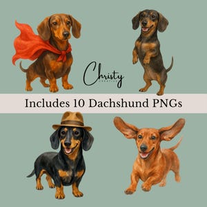 Dachshund Clipart Bundle, 10 Weiner Dog Designs, Doxie Illustrations, Scrapbook Dogs, Watercolor Dogs, Dog Sticker Art, Transparent PNGs