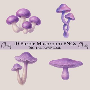 May include: Watercolor illustrations of purple mushrooms in various arrangements. The image includes a cluster of mushrooms, a pair with intertwined stems, and individual specimens. Text reads "10 Purple Mushroom PNGs DIGITAL DOWNLOAD".