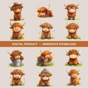 Highland Cows Bundle, 12 Watercolor Cow Designs, Highland Cow Clipart, Highland Cow Graphics, T-shirt Designs, Transparent PNGs