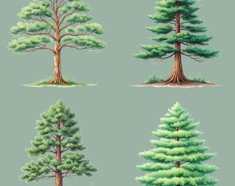 Pine Tree PNG Bundle, 12 Forest Tree Watercolor Designs, Pine Tree PNGs, Tree Wall Art, Card and Junk Journal Graphics, Transparent PNGs