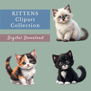 Cute Kittens Clipart Bundle, 15 Adorable Cat Images, Cat Lover Sublimation, Watercolor Cat Graphics, Kitten Clip Art, Transparent PNGs