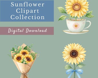 Paquete de imágenes prediseñadas de girasoles: 15 diseños de girasoles en acuarela, sublimación de flores, imágenes prediseñadas florales, gráficos de girasoles, PNG transparentes