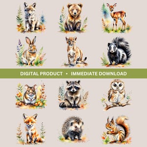 Woodland Animals Bundle, 12 Cute Watercolor Designs, Woodland Animal Clipart, Nursery Graphics, Cute Animal Illustrations, Transparent PNGs