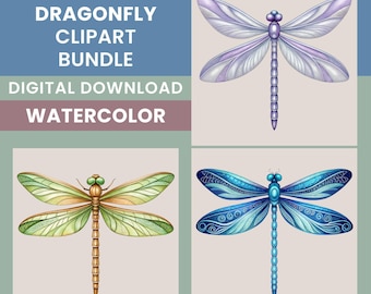 Libelle Clipart Bundle, 15 Aquarell Insekt Illustrationen