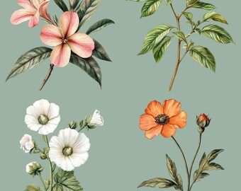 Vintage Botanical Sublimation Bundle, 12 Vintage Graphics, Watercolor Clip Art, Botanical Illustrations, Vintage Flowers, Transparent PNGs