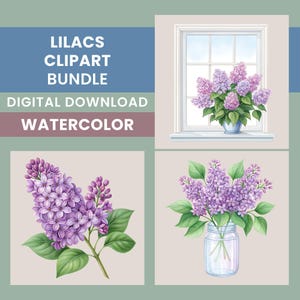 Watercolor Lilacs PNG Bundle, 15 Lilac Flower Illustrations, Sublimation Lilac Images, Purple Flowers, Floral Clip Art, Transparent PNGs
