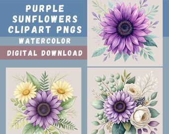 Purple Sunflowers Clipart Bundle, 15 Watercolor Sunflowers, Sunflower Sublimation, Botanical Designs, Print on Demand, Transparent PNGs