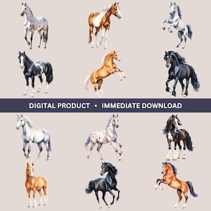 Horses Watercolor Bundle, 12 Horse Graphics, Farm Clipart, Ranch Animal Illustrations, Transparent PNGs, Cool Horse Designs, Western Clipart