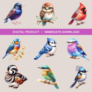 Birds Watercolor Bundle Bird Clipart Digital Download Sublimation Bundle Wall Decor Junk Journal Art Poster Transparent PNG Commercial Use