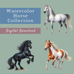 Horses Watercolor Bundle, 15 Horse Graphics, Farm Clipart, Ranch Animal Illustrations, Transparent PNGs, Cool Horse Designs, Western Clipart