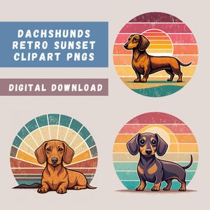 Dackel Clipart Bundle, 15 Dackel auf Retro Sunset Hintergrund, Hund Sublimation, Hundeliebhaber, niedliche Vintage Hundedesigns, transparente PNGs