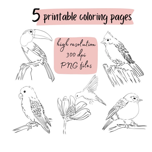 Bird coloring page, printable coloring sheet, instant download, kids and adult coloring page