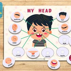 Printable face parts matching worksheet with flashcard, Body Parts activity, Toddler Activity busy book preschool Montessori Activity image 3