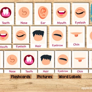 Printable face parts matching worksheet with flashcard, Body Parts activity, Toddler Activity busy book preschool Montessori Activity image 4