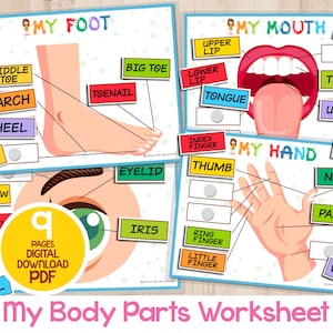 Juego de aprendizaje de emparejamiento de partes del cuerpo, actividad imprimible, material Montessori para preescolar, actividad de carpeta para niños pequeños, libro de actividades para educación en casa