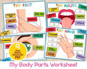Body Parts Name Matching Learning Game Activity Printable Preschool Montessori Material, Toddler Busy Binder Activity, Homeschool Busy Book