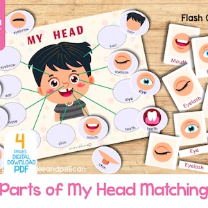 Hoja de trabajo imprimible con tarjetas para hacer coincidir las partes de la cara, actividad de partes del cuerpo, libro de actividades para niños pequeños, actividad preescolar Montessori