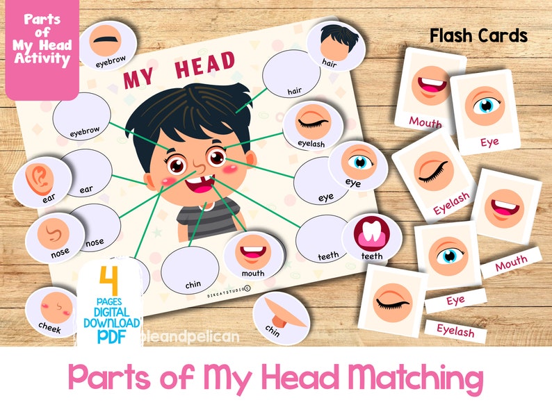 Printable face parts matching worksheet with flashcard, Body Parts activity, Toddler Activity busy book preschool Montessori Activity image 1