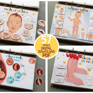 My Body Busy Book, Printable Toddler Learning Binder, Human Anatomy ...
