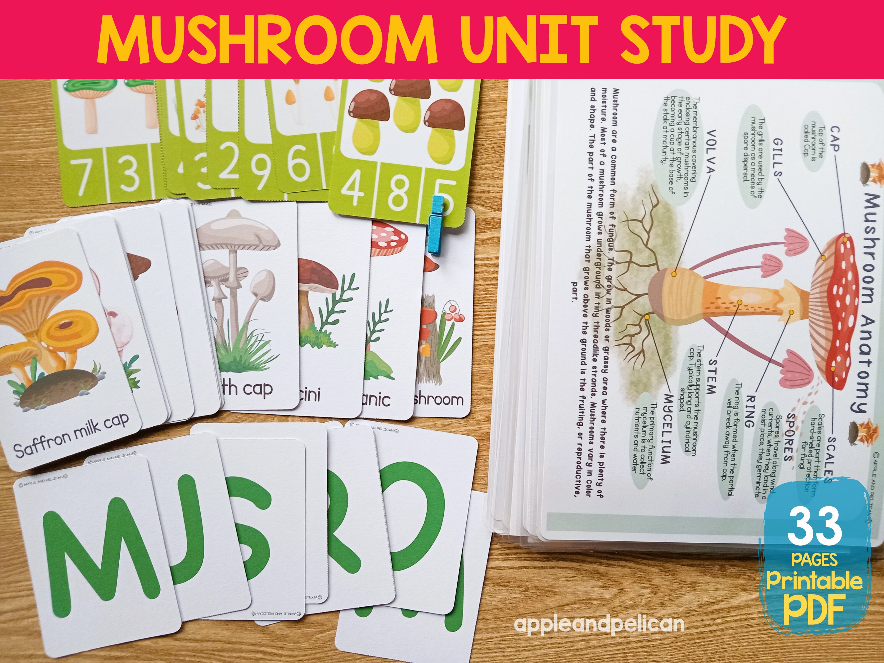 Printable Mushroom Unit Study, Life Cycle Anatomy Homeschool Science ...