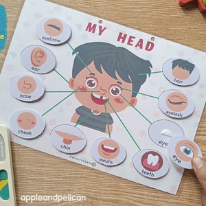 Printable face parts matching worksheet with flashcard, Body Parts activity, Toddler Activity busy book preschool Montessori Activity image 5