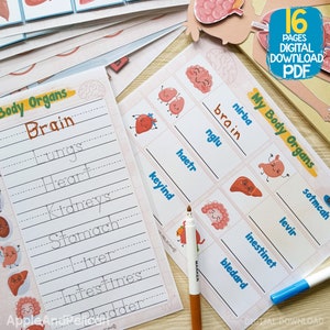 Puede incluir: Una hoja de trabajo imprimible para aprender sobre el cuerpo humano. La hoja de trabajo presenta una lista de &oacute;rganos del cuerpo con l&iacute;neas para trazar las palabras. La hoja de trabajo tambi&eacute;n incluye ilustraciones de los &oacute;rganos con caras lindas.