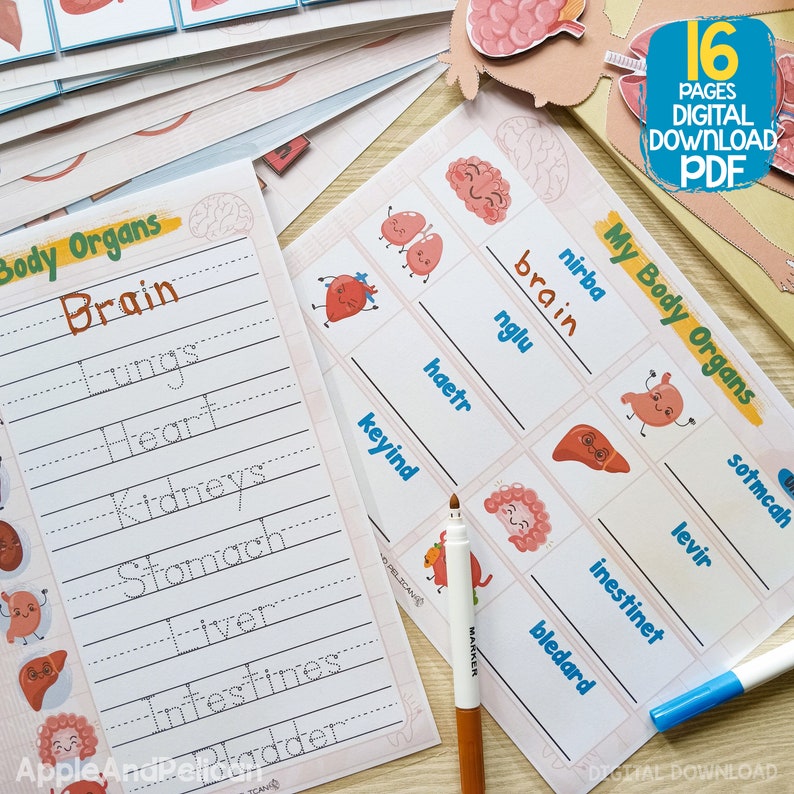 Puede incluir: Una hoja de trabajo imprimible para aprender sobre el cuerpo humano. La hoja de trabajo presenta una lista de &oacute;rganos del cuerpo con l&iacute;neas para trazar las palabras. La hoja de trabajo tambi&eacute;n incluye ilustraciones de los &oacute;rganos con caras lindas.