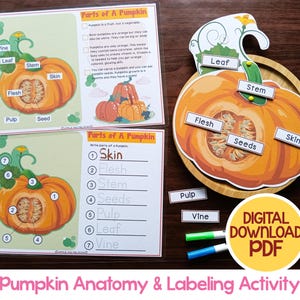 Activité d'étiquetage sur l'anatomie de la citrouille, activité préscolaire, activité d'automne, parties d'une citrouille, automne Montessori école à domicile, science imprimable