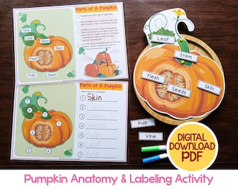 Pumpkin Anatomy Labeling Activity, Preschool Activity, Fall Activity, Parts Of A Pumpkin, Autumn Montessori Homeschool Science Printable