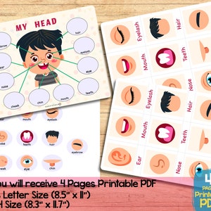 Printable face parts matching worksheet with flashcard, Body Parts activity, Toddler Activity busy book preschool Montessori Activity image 6