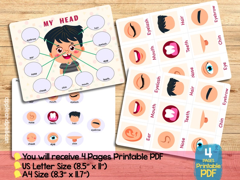 Printable face parts matching worksheet with flashcard, Body Parts activity, Toddler Activity busy book preschool Montessori Activity image 6