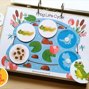 May include: Educational chart illustrating the frog life cycle, featuring stages from eggs to adult frog. The chart includes colorful illustrations of each stage, with the text "Frog Life Cycle". Includes a round sticker with the text "57 PAGES DIGITAL DOWNLOAD PDF".