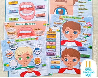 Actividades imprimibles sobre las partes del rostro de un niño, carpeta de aprendizaje de partes del cuerpo, hoja de trabajo "Acerca de mí", plan de estudios preescolar