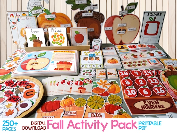 Fall Preschool Activities Packet, Fall Activity For Kids, Autumn Kindergarten Activity, Homeschool Learning Binder, Kids Montessori Activity
