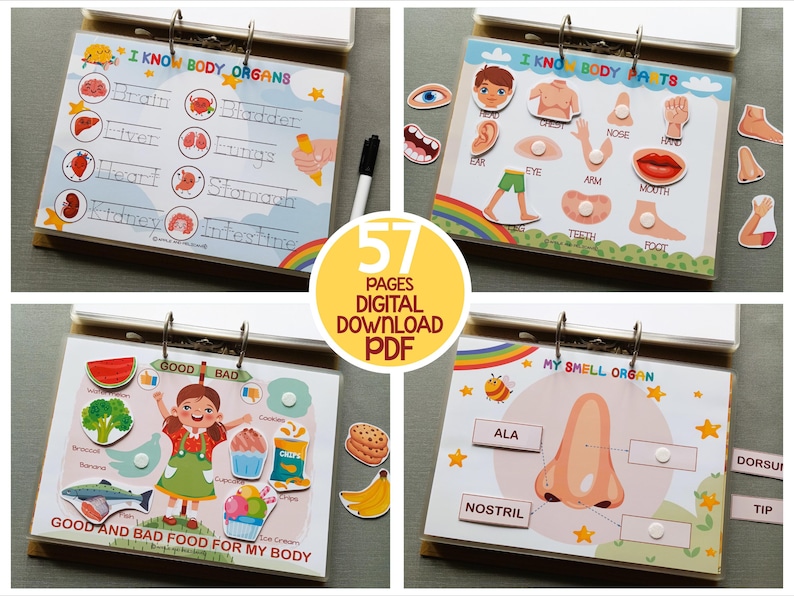 My Body Busy Book, Printable Toddler Learning Binder, Human Anatomy ...