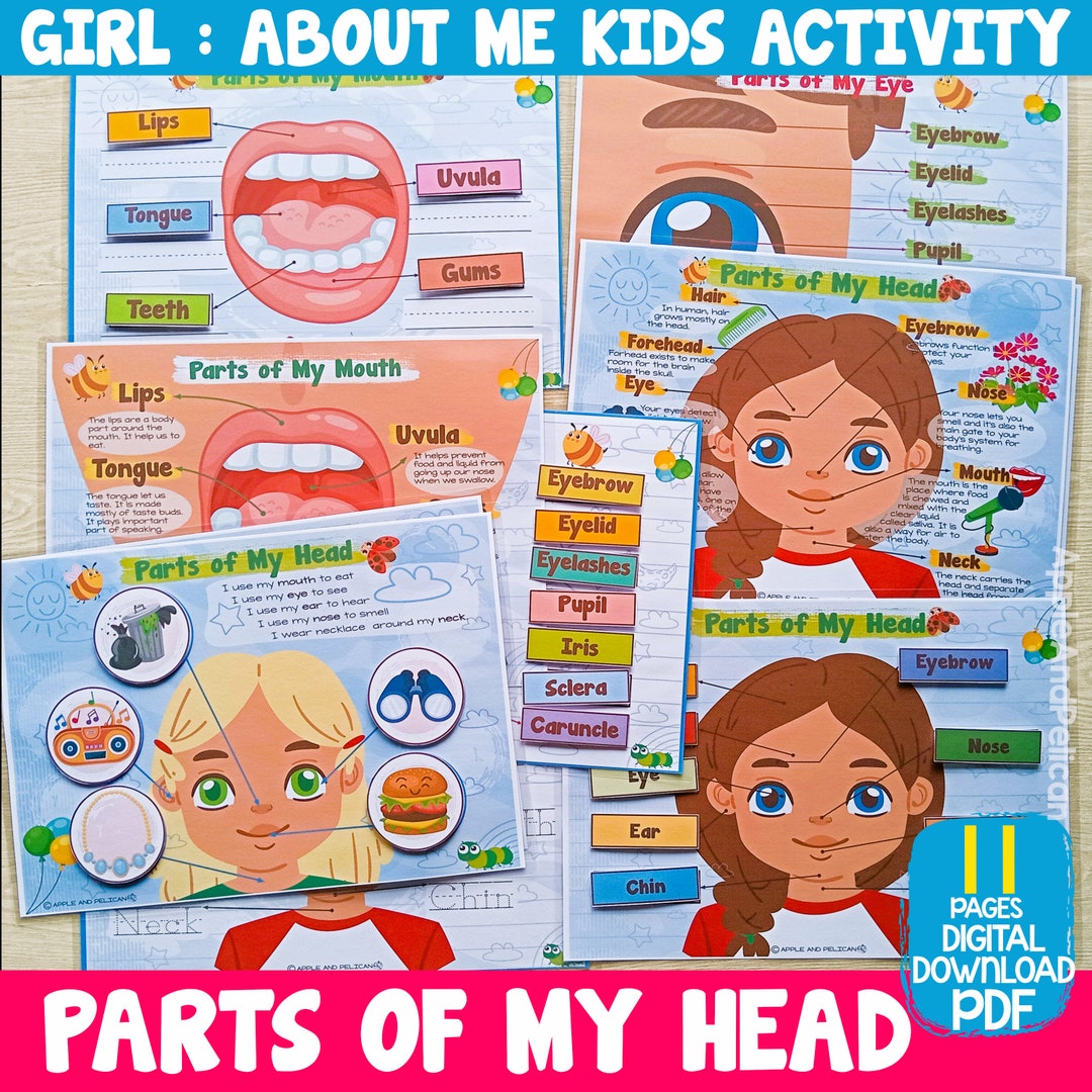 Face Parts Activity Bundle, Girl Part of Face Learning Binder Printable ...