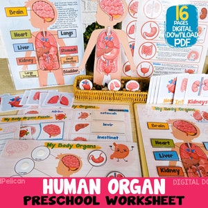 Menselijke anatomie activiteit eenheid, afdrukbare menselijk lichaam orgel Matching, Preschool Curriculum Homeschool materialen, Montessori leren Binder