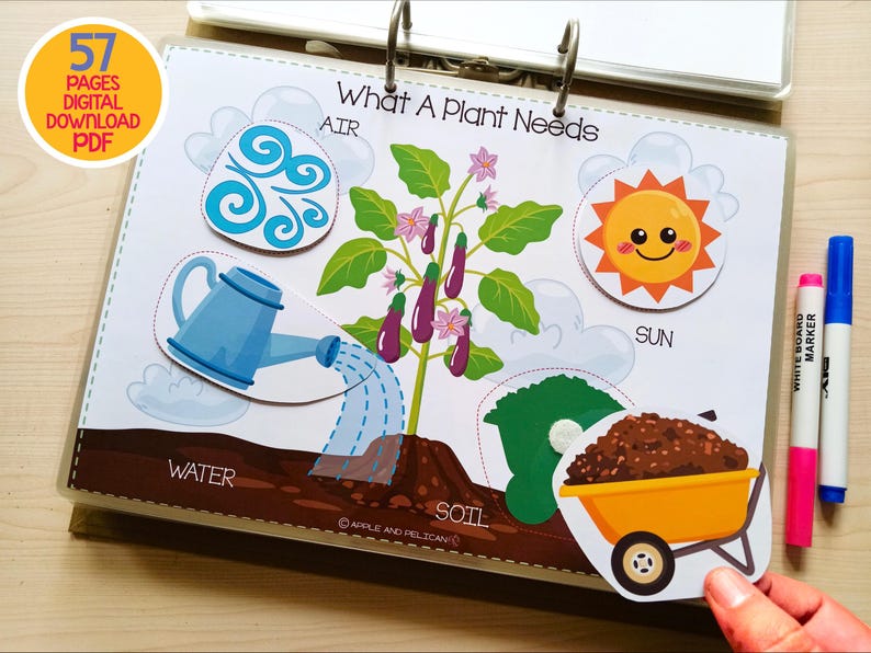 May include: Educational visual aid titled "What A Plant Needs" with illustrations of air, water, soil, and sun. Includes a watering can, a smiling sun, and a wheelbarrow. The text "57 PAGES DIGITAL DOWNLOAD PDF" is in the upper left corner.