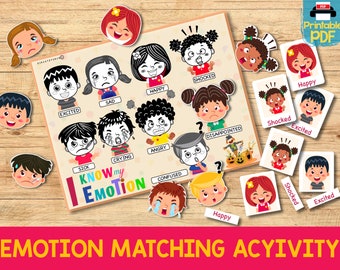 Kids Emotions Matching Activity, Toddler Emotions Worksheet, Feeling File Folder Game Printable Homeschool Busy Book Page, Emotion Flashcard