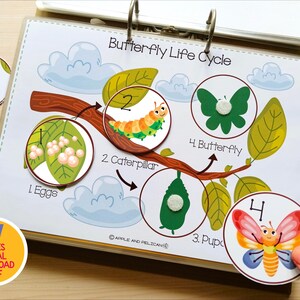May include: A colorful educational chart illustrating the butterfly life cycle, with stages labeled: eggs, caterpillar, pupa, and butterfly. Includes a round sticker with the text "57 PAGES DIGITAL DOWNLOAD PDF". Markers are visible.