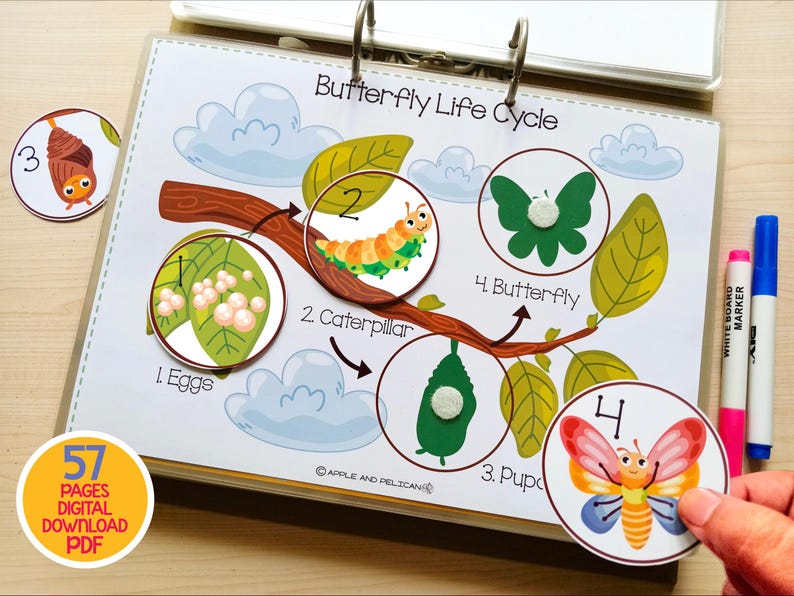 May include: A colorful educational chart illustrating the butterfly life cycle, with stages labeled: eggs, caterpillar, pupa, and butterfly. Includes a round sticker with the text "57 PAGES DIGITAL DOWNLOAD PDF". Markers are visible.