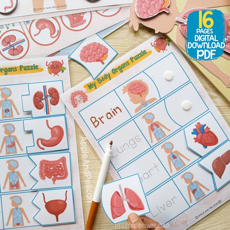Puede incluir: Un rompecabezas educativo imprimible para ni&ntilde;os que presenta un cuerpo humano con &oacute;rganos. El rompecabezas incluye un cerebro, pulmones, coraz&oacute;n, h&iacute;gado, est&oacute;mago, intestinos y ri&ntilde;ones. El rompecabezas est&aacute; dise&ntilde;ado para ayudar a los ni&ntilde;os a aprender sobre los diferentes &oacute;rganos del cuerpo humano. El texto en el rompecabezas dice "My Body Organs Puzzle".