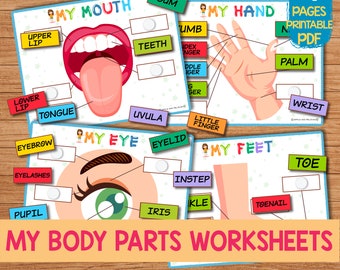 Body Parts Name Matching Learning Game Activity Printable Preschool Montessori Material, Toddler Busy Binder Activity, Homeschool Busy Book